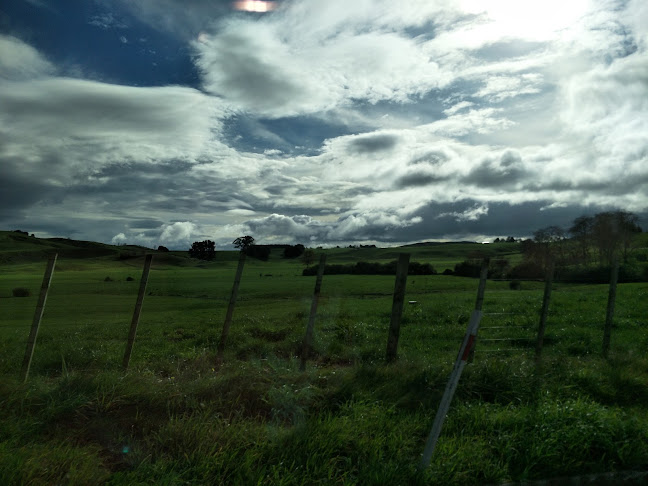 80 Lyon Street, Kihikihi 3800, New Zealand