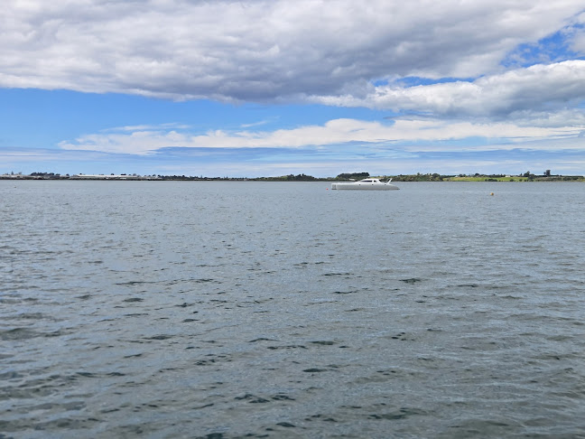 Reviews of Bobbys Fresh Fish Market Tauranga Waterfront in Tauranga - Hospitality and gastronomy