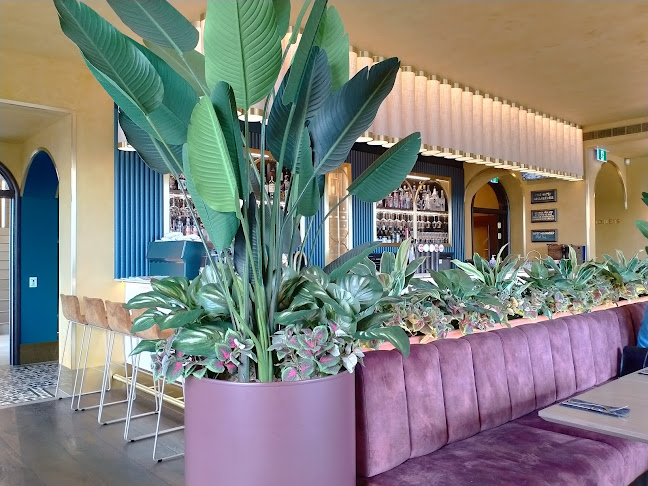 The Fine Lion - Ashburton