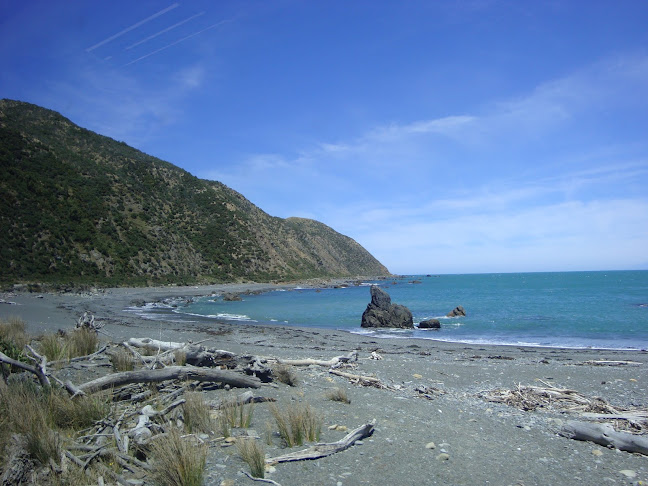 Pencarrow Lodge Open Times