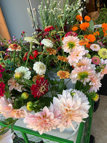 Opinii despre GreenBow Flora în Whatawhata - Hospitality and gastronomy