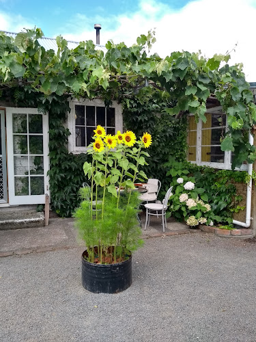 55A Joseph Street, West End, Palmerston North 4412, New Zealand