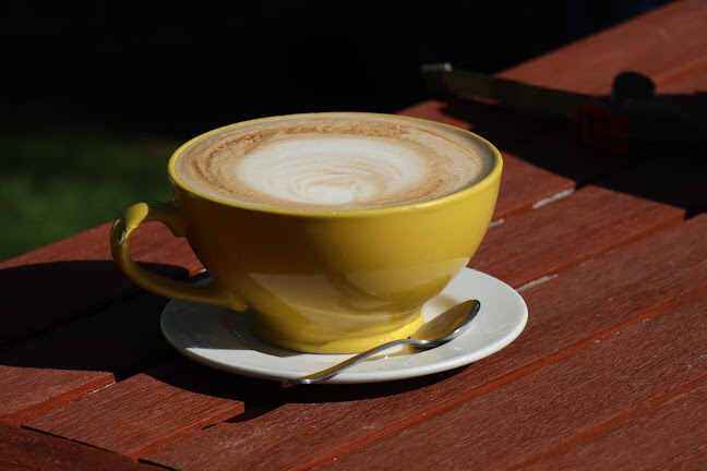 The Local Backyard Cafe and Bakery - Hospitality and gastronomy