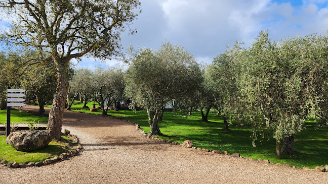 Comments and reviews of Stonyridge Vineyard