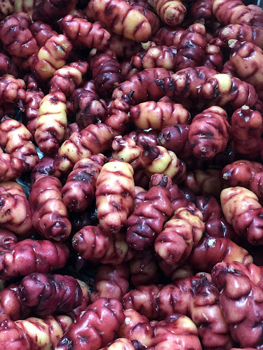 Sandy Acres - Foxton