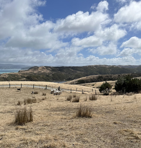 Pencarrow Lodge - Hospitality and gastronomy