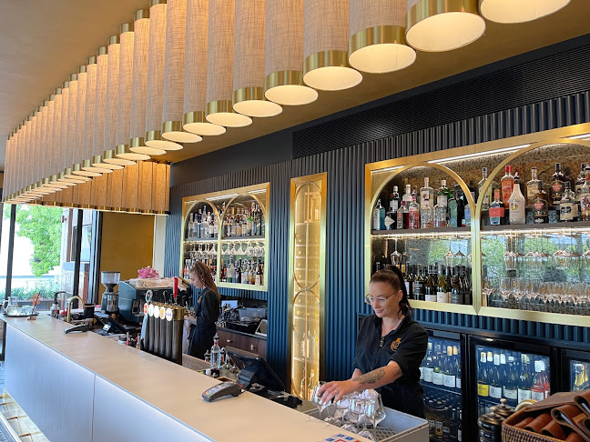 The Fine Lion - Hospitality and gastronomy