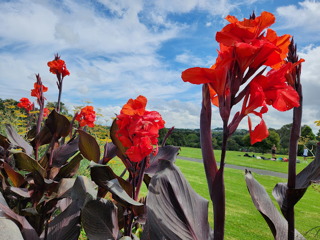 Cafe Miko - Hospitality and gastronomy