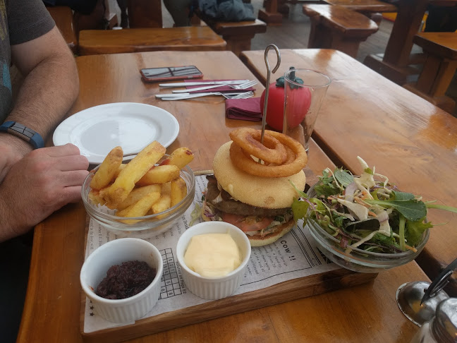 Denniston Dog Restaurant & Bar - Hospitality and gastronomy