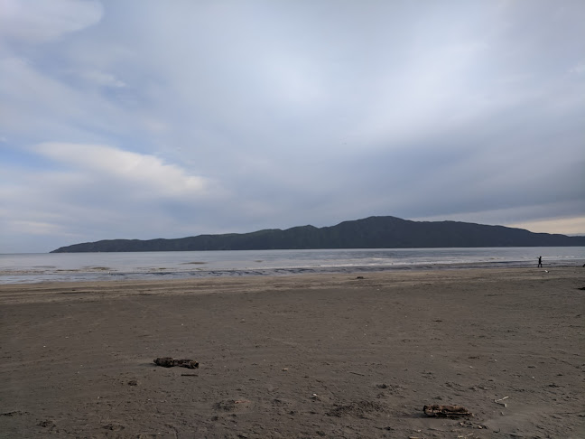 Ben’s Buns - Hospitality and gastronomy