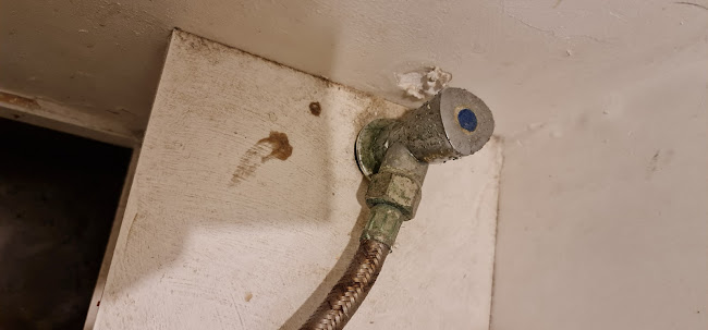 Opinii despre Sushi Train în Auckland - Hospitality and gastronomy