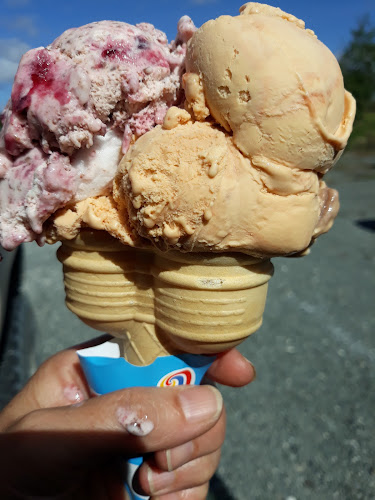 Opinii despre Tip Top Ice Cream Kiosk în Hikurangi - Hospitality and gastronomy