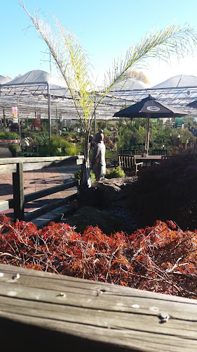 Shadehouse Cafe - Hospitality and gastronomy