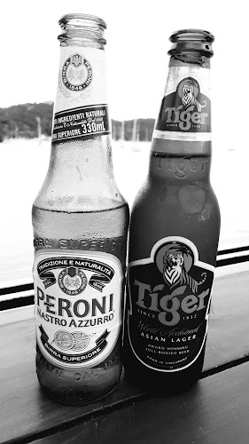 Mangonui Fish Shop Open Times