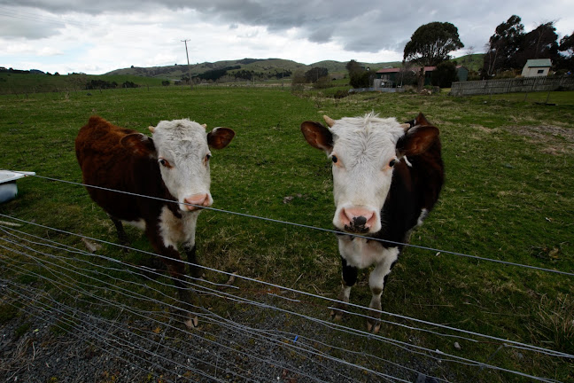 21 Ryley Street, Owaka 9535, New Zealand