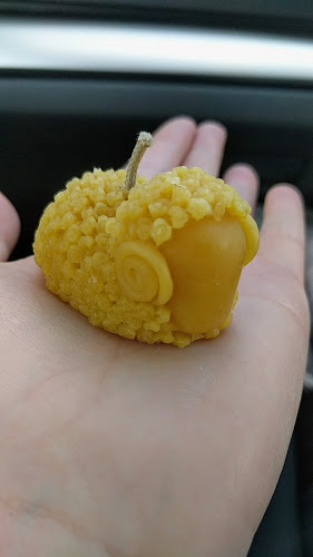 Opinii despre The Busy Bean Café în Waipu - Hospitality and gastronomy