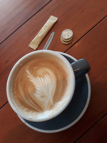 Comentarii opinii despre Wright & Co.