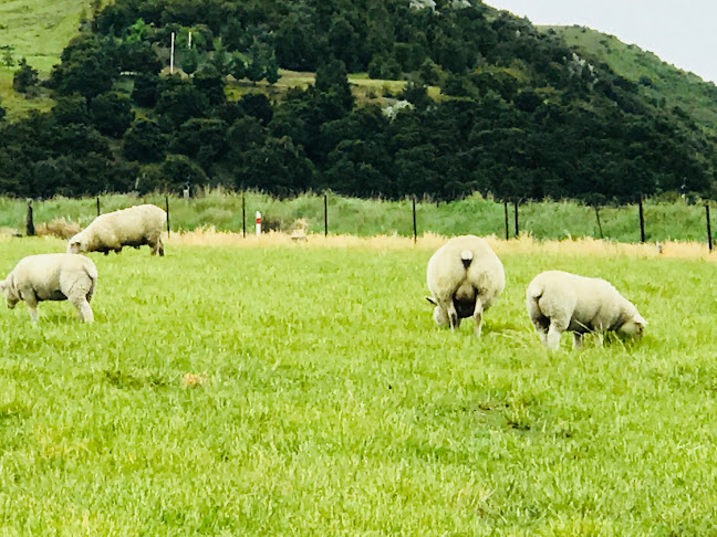 Comentarii opinii despre Country Taste Cafe