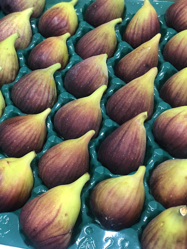 18 State Highway 1, Foxton 4814, New Zealand