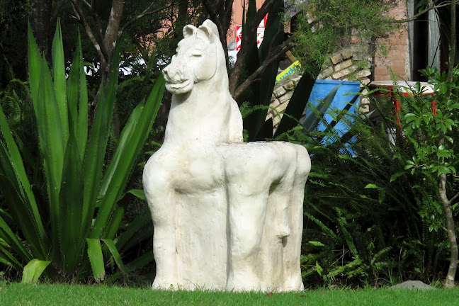 CRE8 RATHBONE - (Quarry Co-op Shop) - Whangārei