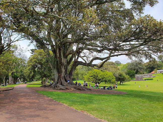 Comentarii opinii despre Cornwall Park Cafe