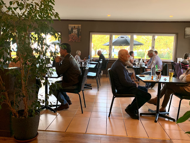 Comments and reviews of Faridas