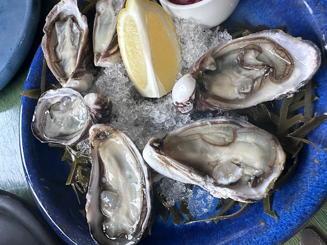 Plato - Hospitality and gastronomy