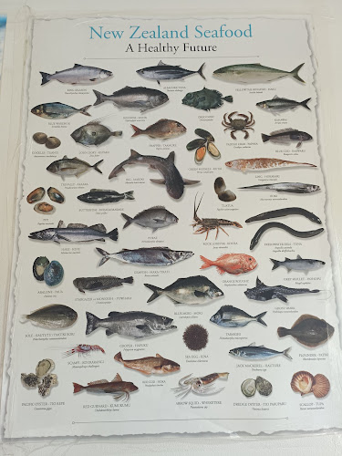 4 Oxford Street, Fairfield, Hamilton 3214, New Zealand