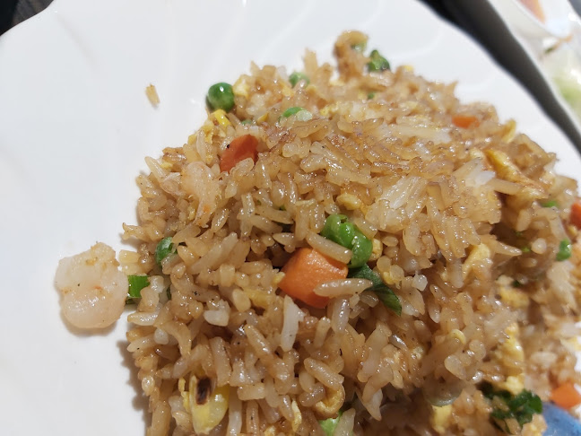 2/155 Blenheim Road, Riccarton, Christchurch 8041, New Zealand