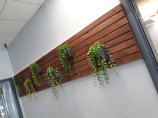 41 Stafford Street, Timaru Central, Timaru 7910, New Zealand