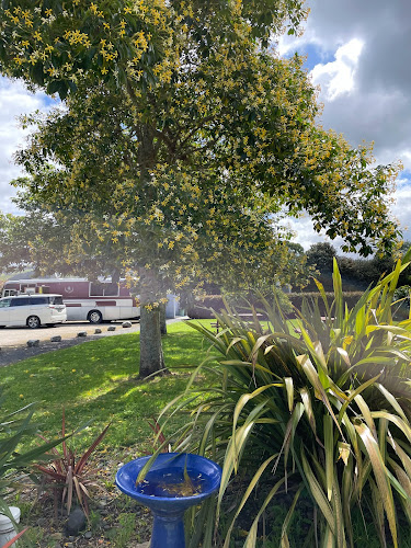 Opinii despre Persimmon Tree Cafe în Pirongia - Hospitality and gastronomy