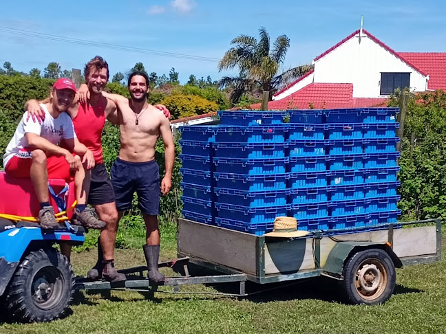 R n' Bees Berry Farm - Hospitality and gastronomy