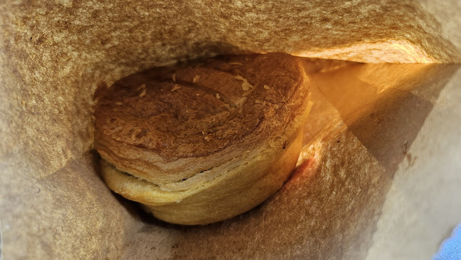 25 Halswell Road, Hillmorton, Christchurch 8025, New Zealand