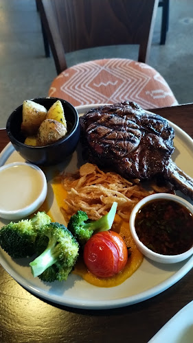 Little Savanna - Hospitality and gastronomy