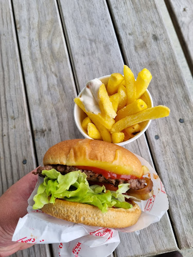 Comments and reviews of The White Lady