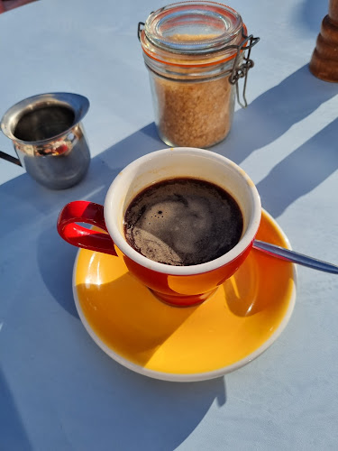 Reviews of Beach Babylon in Wellington - Hospitality and gastronomy