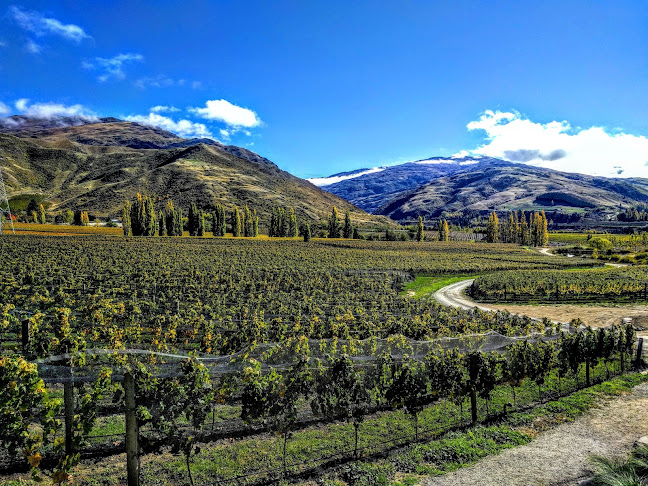 420 Bannockburn Road, Cromwell 9384, New Zealand