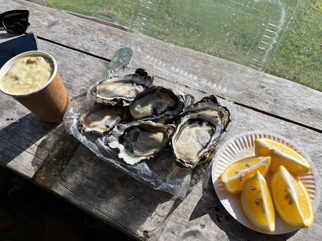 1613 Manaia Road, Coromandel 3581, New Zealand