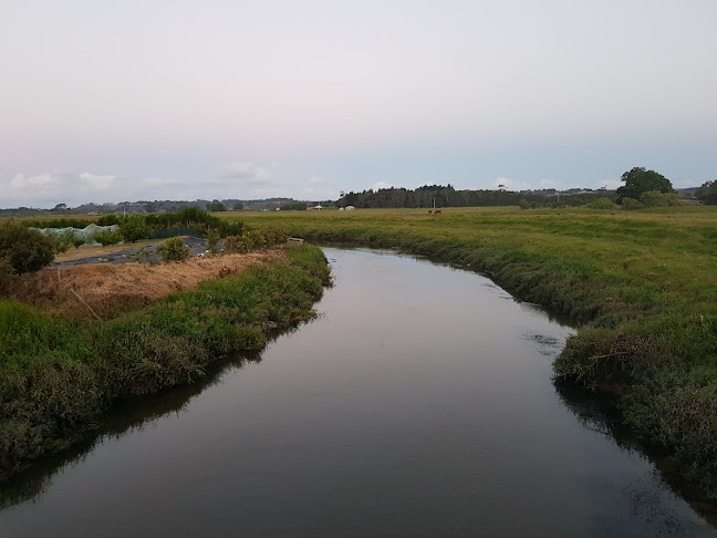 Blue Moon Takeaways Awanui - Awanui