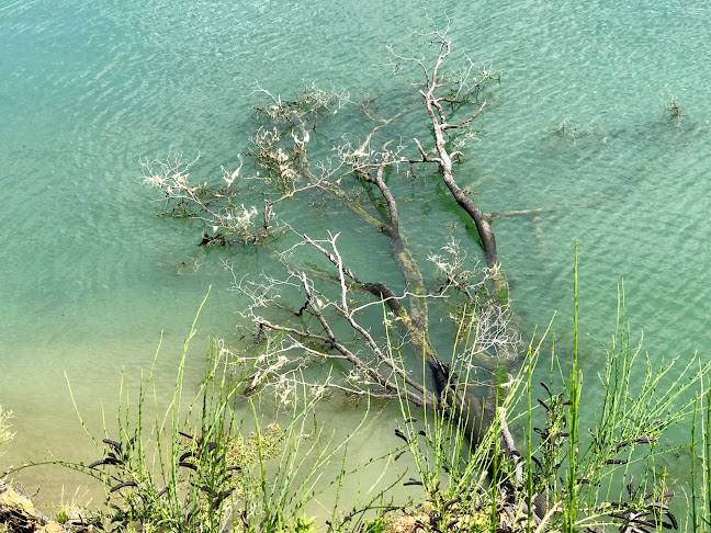 401 Anakiwa Road, Anakiwa 7281, New Zealand