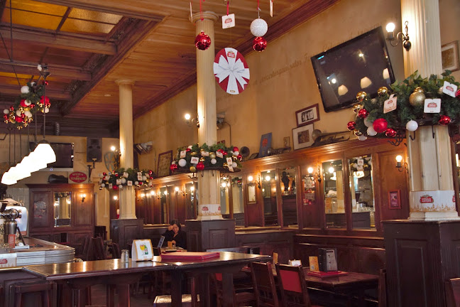 The Occidental - Hospitality and gastronomy