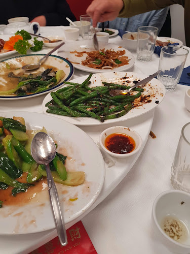 Delight Plus Chinese Restaurant - Hospitality and gastronomy