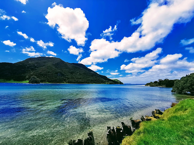 Comentarii opinii despre The Hub Cafe