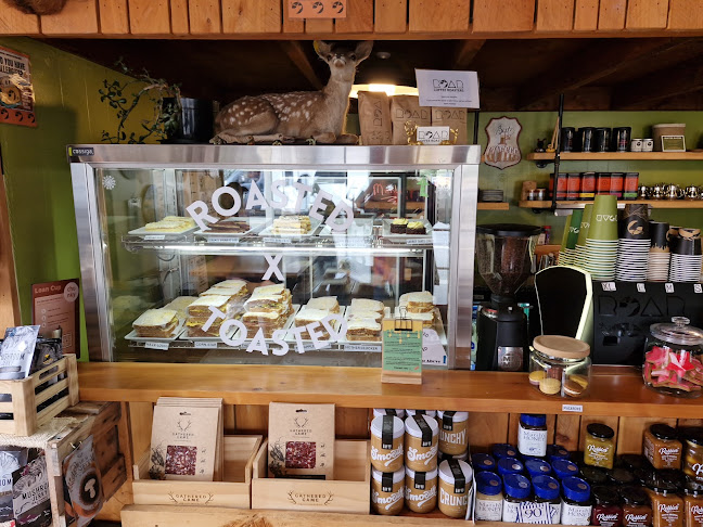 Roasted x Toasted by ROAR COFFEE