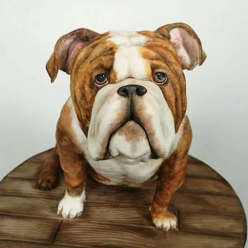 50 Laxon Road, Whatawhata, Hamilton 3288, New Zealand