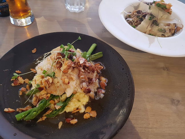 Comentarii opinii despre Tipsy Trout