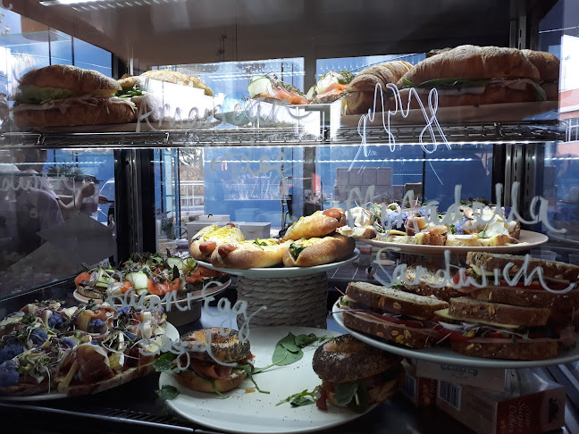 Sugar at Chelsea Bay