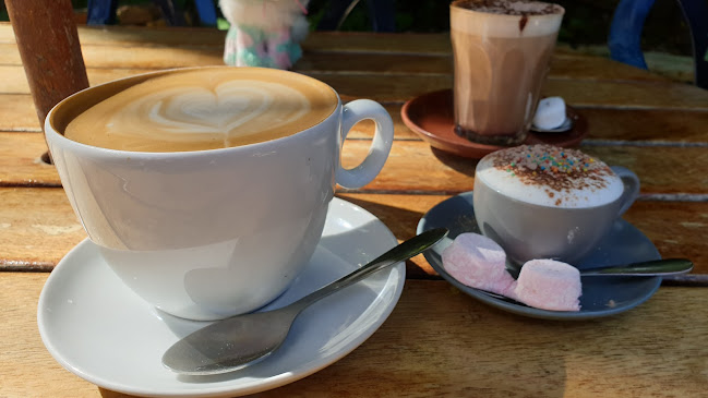 Fusion Cafe - Auckland