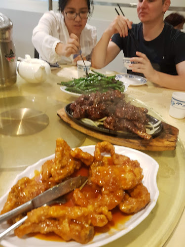 Tasty Zone Chinese Restaurant - Hospitality and gastronomy