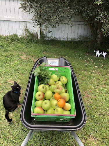 Opinii despre Sandy Acres în Foxton - Hospitality and gastronomy